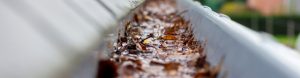 Gutter Cleaner Cheshire