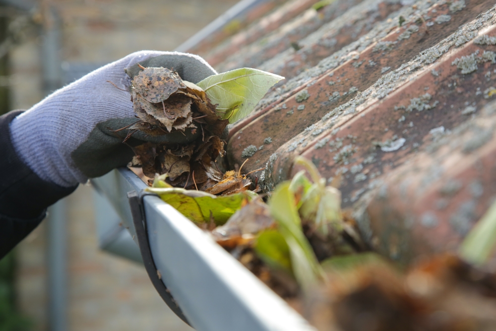 gutter cleaning autumn
