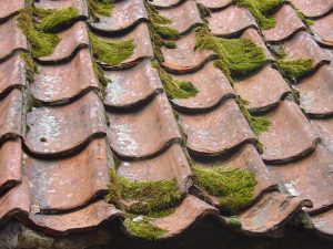 roof cleaning Crewe